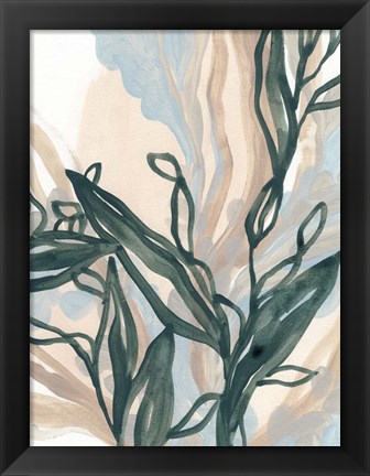 Framed Seaweed Drift II Print