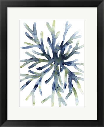 Framed Liquid Coral II Print