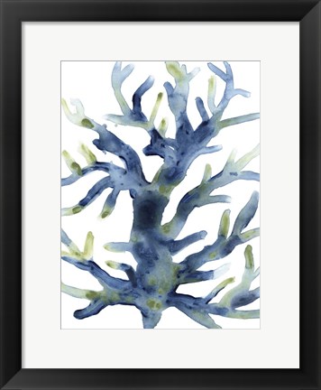 Framed Liquid Coral III Print