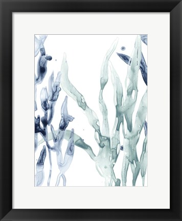 Framed Blue Kelp II Print