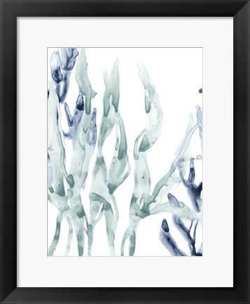 Framed Blue Kelp III Print