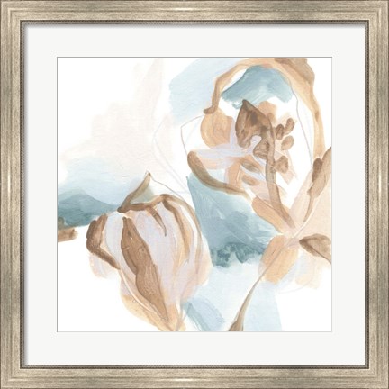 Framed Abstracted Shells IV Print