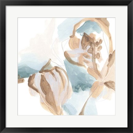 Framed Abstracted Shells IV Print