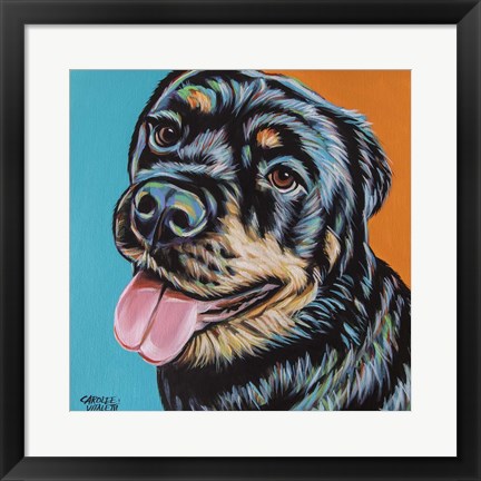 Framed Rottweiler I Print