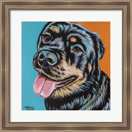 Framed Rottweiler I Print