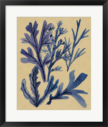 Framed Underwater Forest IV Print