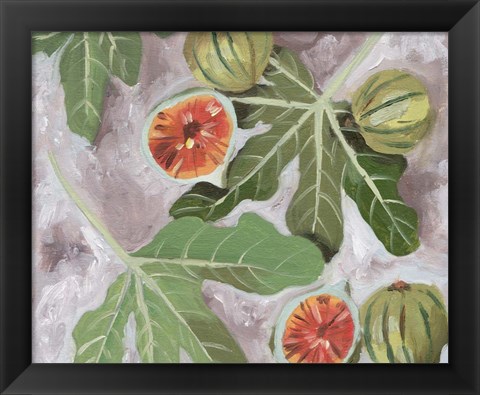 Framed Decorative Fig II Print