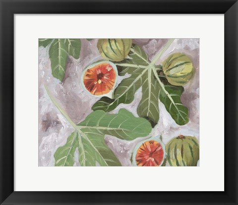 Framed Decorative Fig II Print