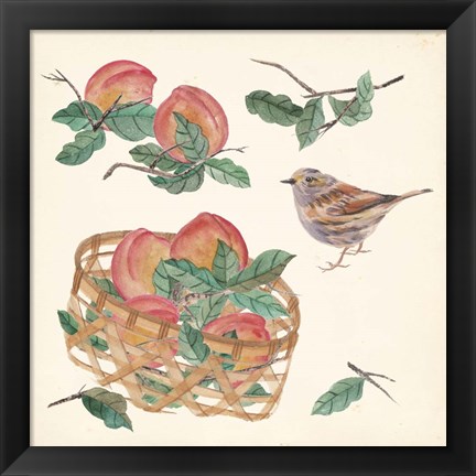 Framed Basket with Fruit II Print