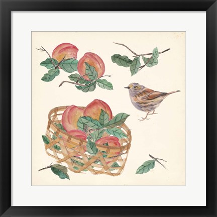 Framed Basket with Fruit II Print