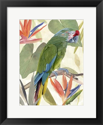 Framed Tropical Parrot Composition I Print