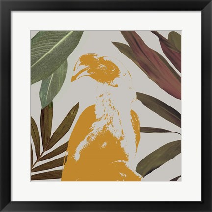 Framed Graphic Tropical Bird II Print