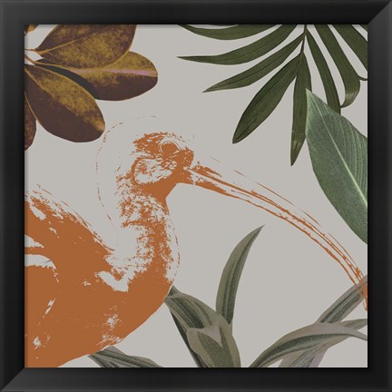 Framed Graphic Tropical Bird VI Print