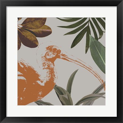 Framed Graphic Tropical Bird VI Print