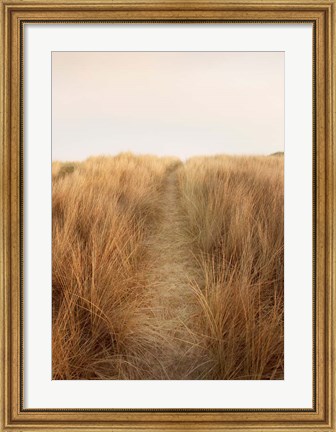 Framed Dunes with Seagulls 6 Print