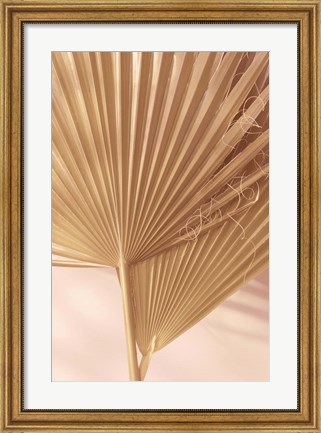 Framed Pastel Fan 1 Print