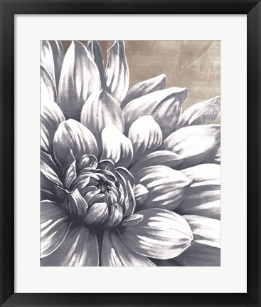 Framed Charming Floral I Print