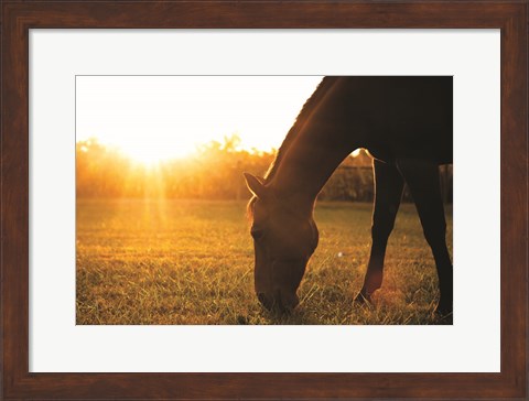 Framed Sunset Grazing I Print