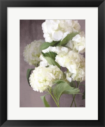 Framed Snow Hydrangeas Print