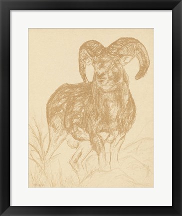 Framed Big Horn Sketch Print