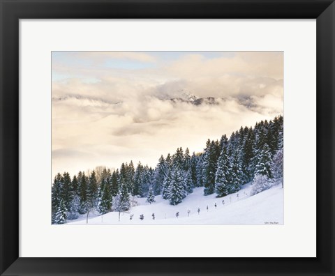 Framed Pines in the Sky Print