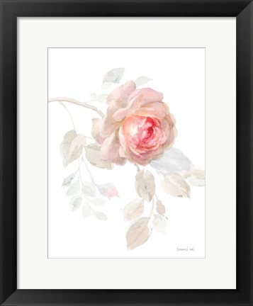 Framed Gentle Rose I Print