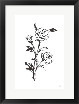 Framed Line Ranunculus II Print