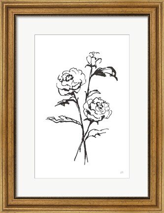 Framed Line Ranunculus I Print