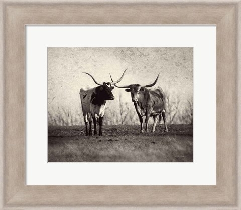 Framed Texas Longhorns Print