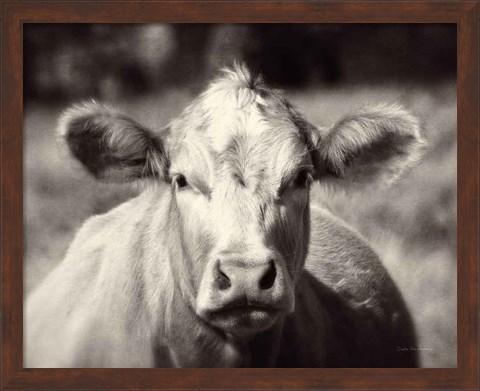 Framed Pasture Cow Print