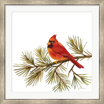 Framed Cardinal Christmas V on White Print