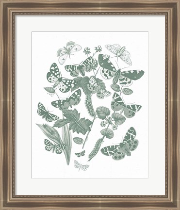 Framed Butterfly Bouquet IV Sage Print