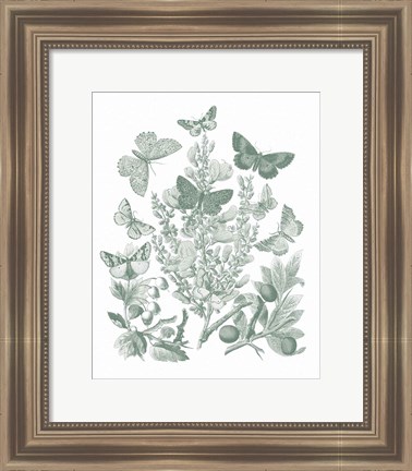 Framed Butterfly Bouquet II Sage Print