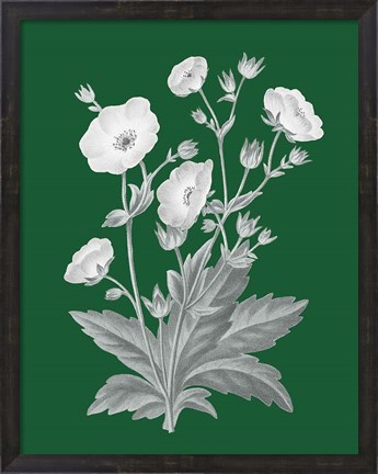 Framed Green Botanical VI Print