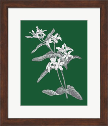 Framed Green Botanical IV Print