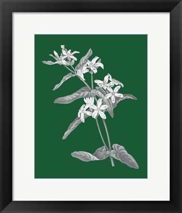 Framed Green Botanical IV Print