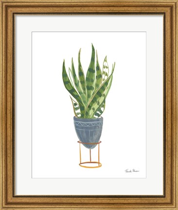 Framed Green House Plants IV Print