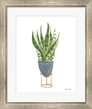 Framed Green House Plants IV Print