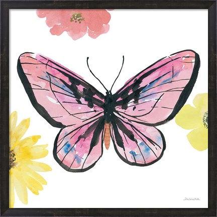 Framed Beautiful Butterfly I Pink Print