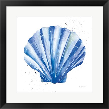 Framed Scallop Shell Sq Print