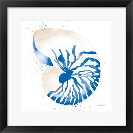 Framed Nautilus Sq Print