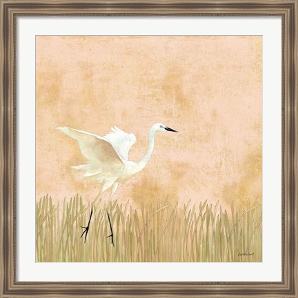 Framed Egret Alighting I Print