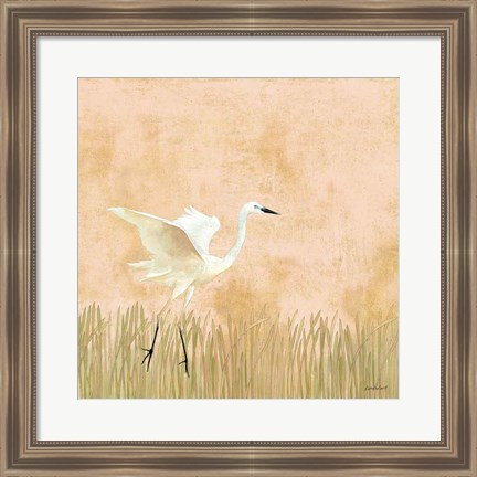 Framed Egret Alighting I Print