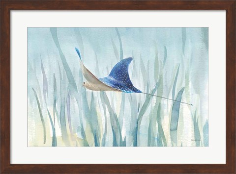 Framed Undersea Ray Print