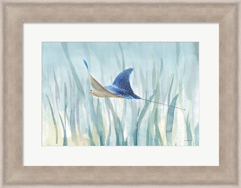 Framed Undersea Ray Print