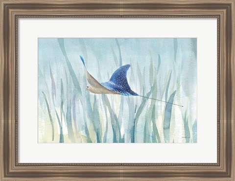 Framed Undersea Ray Print