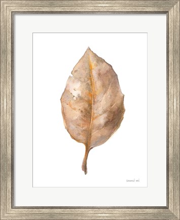Framed Fallen Leaf II Print