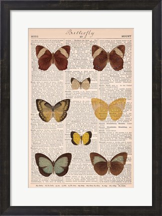 Framed American Butterflies II Print