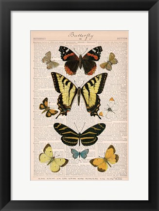 Framed American Butterflies I Print