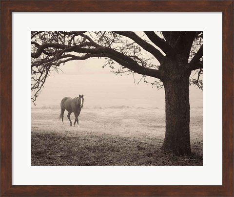 Framed Hazy Horse I Print